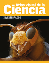 Atlas visual de la ciencia