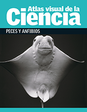 Atlas visual de la ciencia