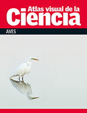 Atlas visual de la ciencia