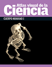 Atlas visual de la ciencia